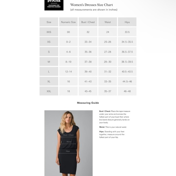 PrAna Cantine Dress Padded Travel Outdoor Sleeveless size XL Grey/Blue - Picture 4 of 7